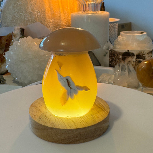 Angelic Agate Mushroom - Spirit & Stone