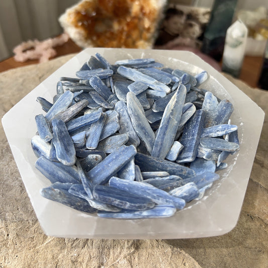 Blue Kyanite Blades - Spirit & Stone